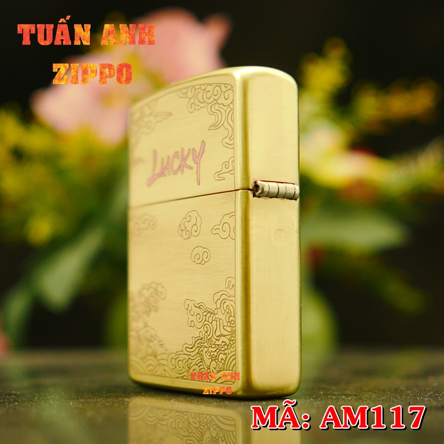 AM117.3